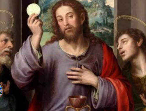 Catholic Teaching on the Eucharist